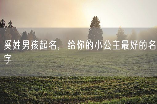 奚姓男孩起名，给你的小公主最好的名字(图1)