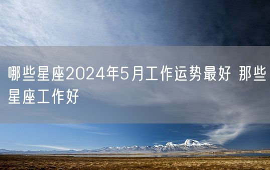 哪些星座2024年5月工作运势最好 那些星座工作好(图1)