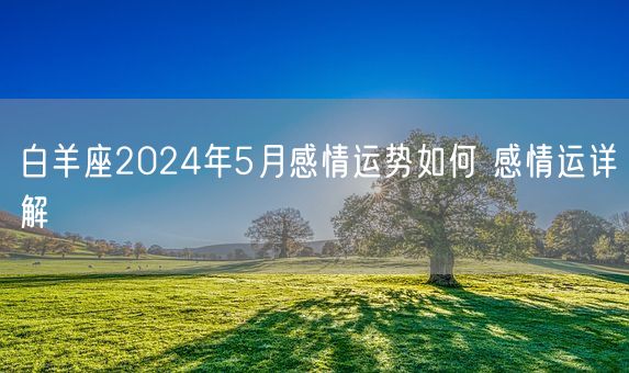 白羊座2024年5月感情运势如何 感情运详解(图1)