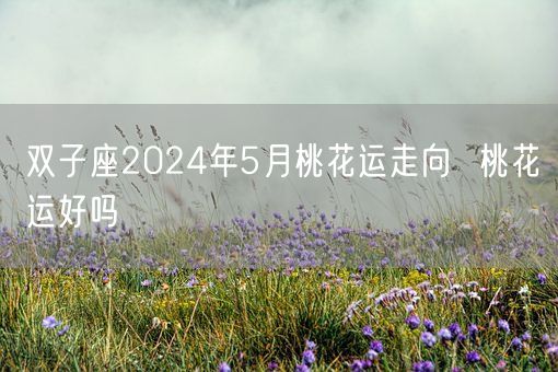 双子座2024年5月桃花运走向  桃花运好吗(图1)