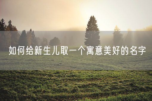 如何给新生儿取一个寓意美好的名字(图1)