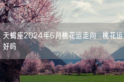 天蝎座2024年6月桃花运走向  桃花运好吗(图1)