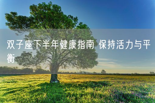 双子座下半年健康指南 保持活力与平衡(图1)