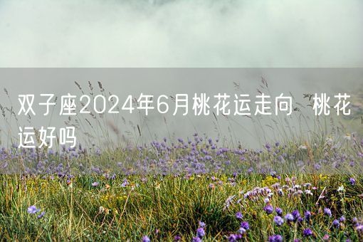 双子座2024年6月桃花运走向  桃花运好吗(图1)