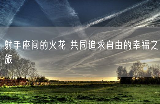 射手座间的火花 共同追求自由的幸福之旅(图1)