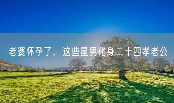老婆怀孕了，这些星男化身二十四孝老公(图1)