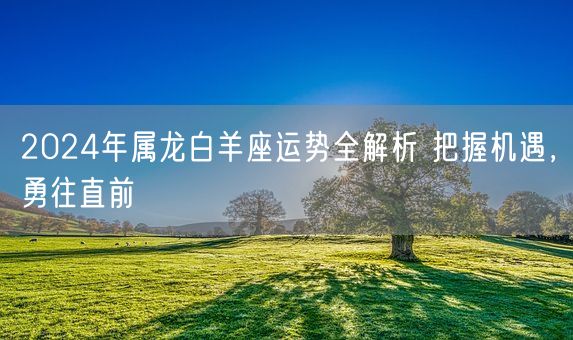 2024年属龙白羊座运势全解析 把握机遇，勇往直前(图1)