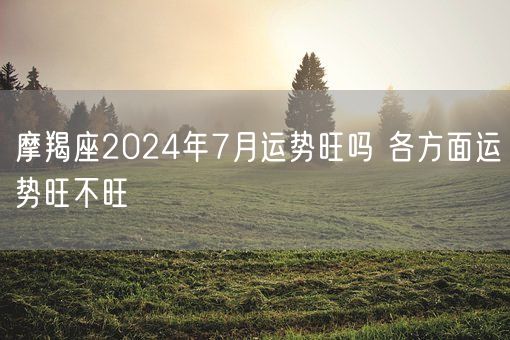 摩羯座2024年7月运势旺吗 各方面运势旺不旺(图1)