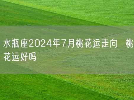 水瓶座2024年7月桃花运走向  桃花运好吗(图1)