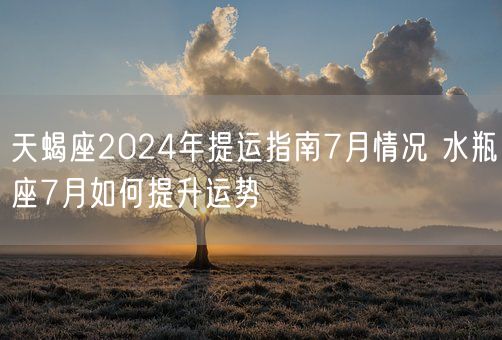 天蝎座2024年提运指南7月情况 水瓶座7月如何提升运势(图1)