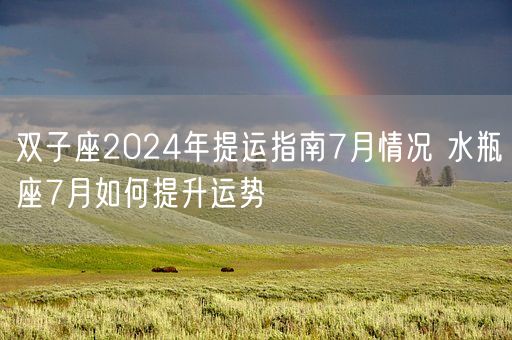 双子座2024年提运指南7月情况 水瓶座7月如何提升运势(图1)