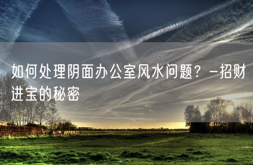 如何处理阴面办公室风水问题？-招财进宝的秘密(图1)