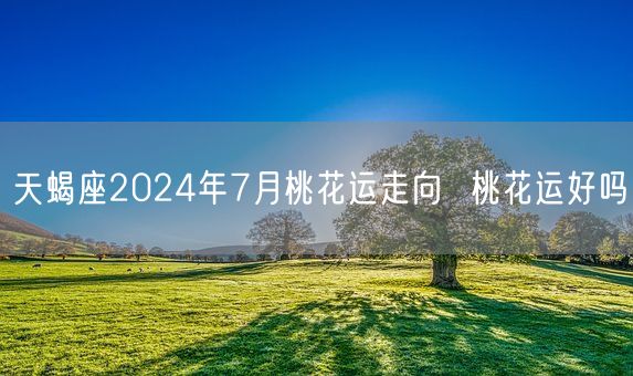 天蝎座2024年7月桃花运走向  桃花运好吗(图1)