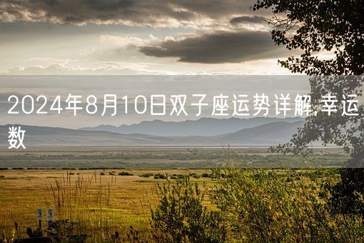 2024年8月10日双子座运势详解,幸运数(图1)