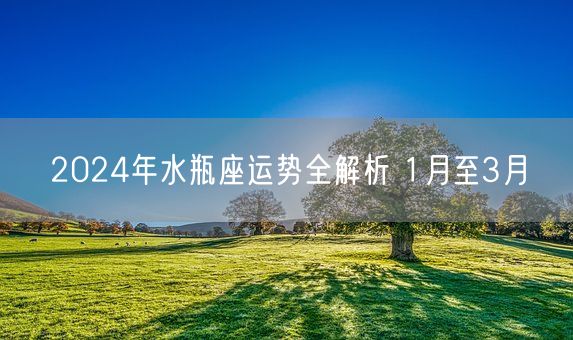 2024年水瓶座运势全解析 1月至3月(图1)