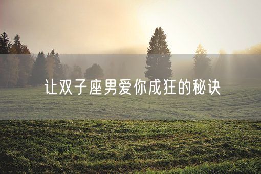 让双子座男爱你成狂的秘诀(图1)