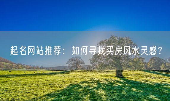 起名网站推荐：如何寻找买房风水灵感？(图1)