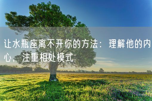 让水瓶座离不开你的方法：理解他的内心，注重相处模式(图1)