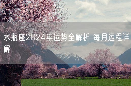 水瓶座2024年运势全解析 每月运程详解(图1)