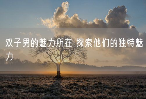 双子男的魅力所在 探索他们的独特魅力(图1)