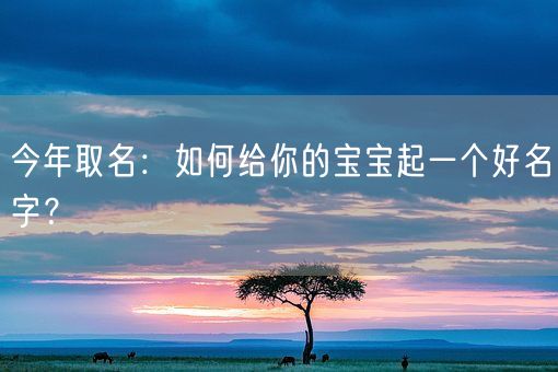 今年取名：如何给你的宝宝起一个好名字？(图1)