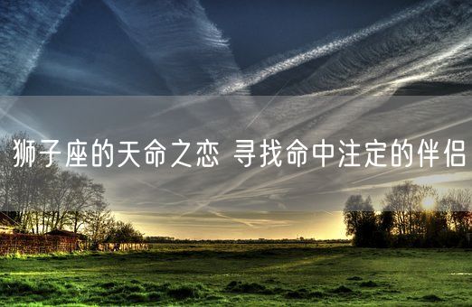 狮子座的天命之恋 寻找命中注定的伴侣(图1)