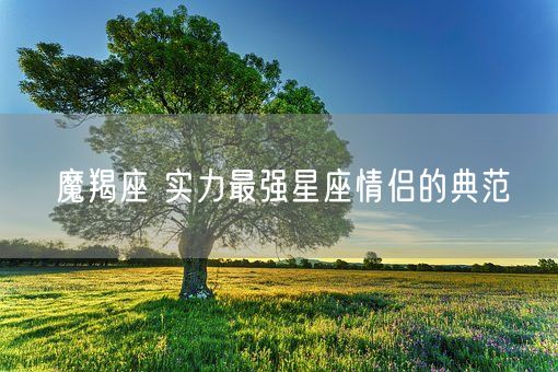 魔羯座 实力最强星座情侣的典范(图1)