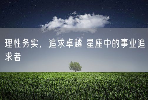 理性务实，追求卓越 星座中的事业追求者(图1)