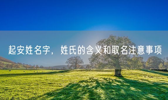 起安姓名字，姓氏的含义和取名注意事项(图1)