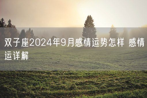 双子座2024年9月感情运势怎样 感情运详解(图1)