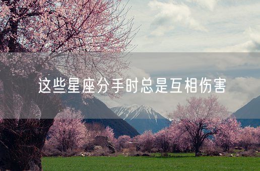 这些星座分手时总是互相伤害(图1)