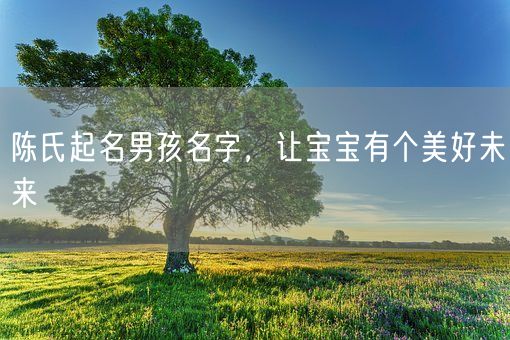 陈氏起名男孩名字，让宝宝有个美好未来(图1)