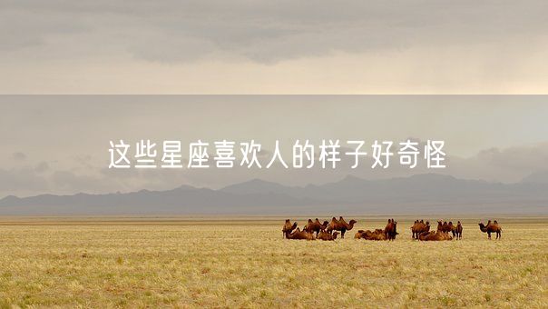 这些星座喜欢人的样子好奇怪(图1)
