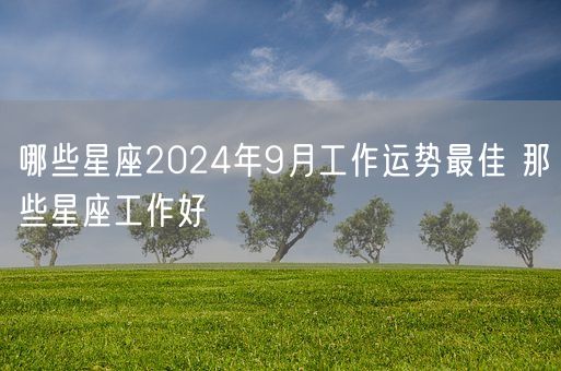 哪些星座2024年9月工作运势最佳 那些星座工作好(图1)