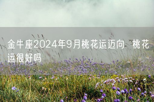 金牛座2024年9月桃花运迈向  桃花运很好吗(图1)