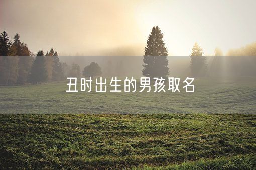 丑时出生的男孩取名(图1)