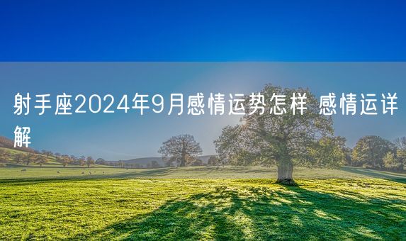 射手座2024年9月感情运势怎样 感情运详解(图1)