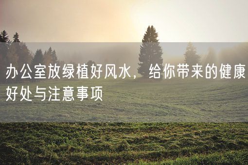 办公室放绿植好风水，给你带来的健康好处与注意事项(图1)