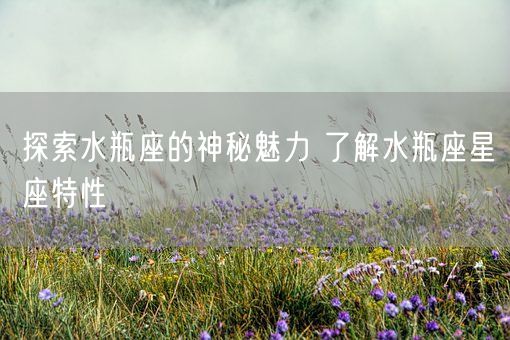 探索水瓶座的神秘魅力 了解水瓶座星座特性(图1)