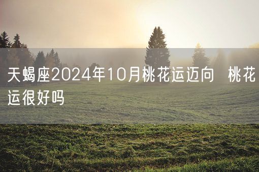 天蝎座2024年10月桃花运迈向  桃花运很好吗(图1)