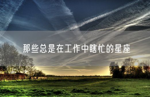 那些总是在工作中瞎忙的星座(图1)