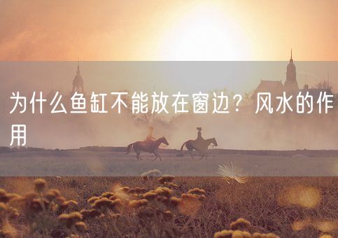 为什么鱼缸不能放在窗边？风水的作用(图1)