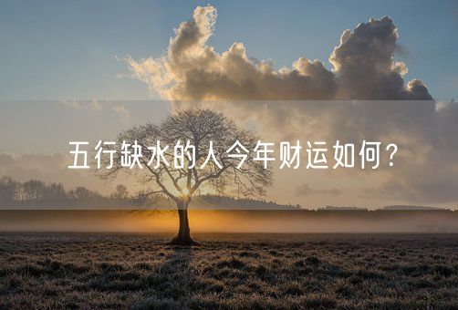 五行缺水的人今年财运如何？(图1)