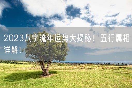 2023八字流年运势大揭秘！五行属相详解！(图1)