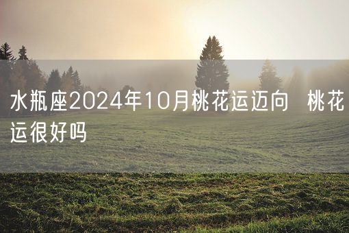 水瓶座2024年10月桃花运迈向  桃花运很好吗(图1)