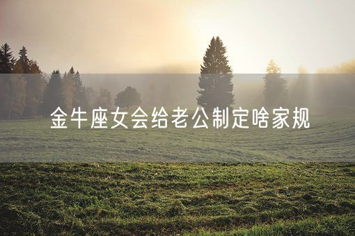 金牛座女会给老公制定啥家规(图1)