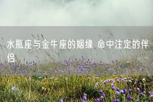 水瓶座与金牛座的姻缘 命中注定的伴侣(图1)