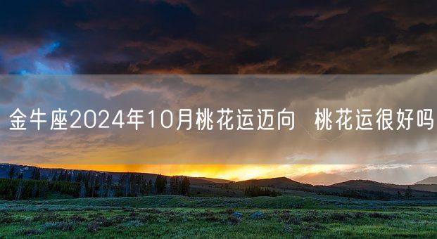 金牛座2024年10月桃花运迈向  桃花运很好吗(图1)