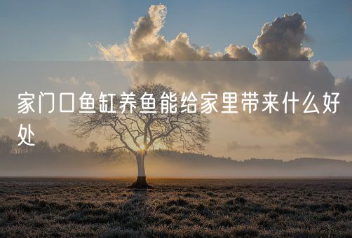 家门口鱼缸养鱼能给家里带来什么好处(图1)