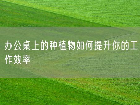 办公桌上的种植物如何提升你的工作效率(图1)